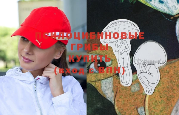 крисы Алексеевка