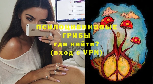 амф Алзамай