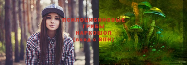 крисы Алексеевка