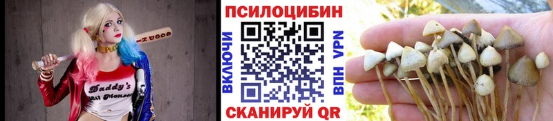 МЕГА как зайти Лабытнанги Галлюциногенные грибы ЛСД где найти наркотики